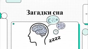 25. Сон и сновидения