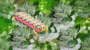 С 8 Марта Поздравление 1 от Киностудии Мудрого Кота Тимофея!