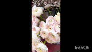 ПОДГОТОВКА К 8 МАРТА 07-03-2026