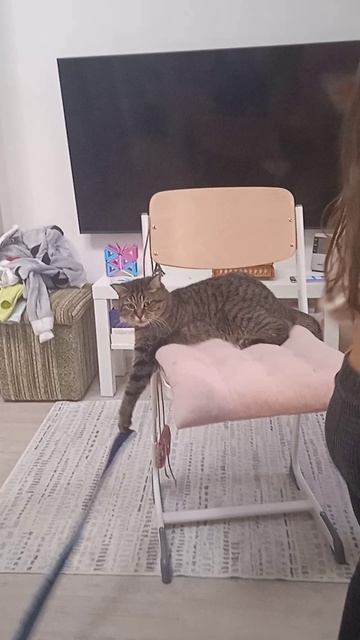 Мне надоели твои прыжки