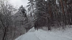 Снежная прогулка в Кисловодском национальном парке. Весенняя зима. 1 часть.