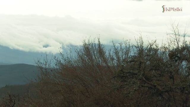 Крымское счастье ИгаЮга