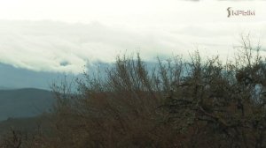 Крымское счастье ИгаЮга