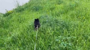 Меня выпустили на улицу. УРА!