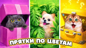 ПОСЛЕДНИЕ ПРЯТКИ по ЦВЕТАМ с ПИТОМЦАМИ в РЕАЛЬНОЙ ЖИЗНИ 3 | СЕКРЕТНАЯ КОМНАТА - КТО ЕЕ НАШЕЛ?
