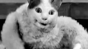 Бу испугался не бойся фонк