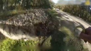 Полицейские Против Диких Животных  Камера Засняла Всё