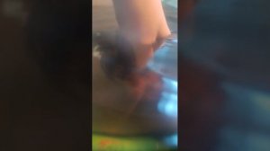 я и моя черепаха Ëлик