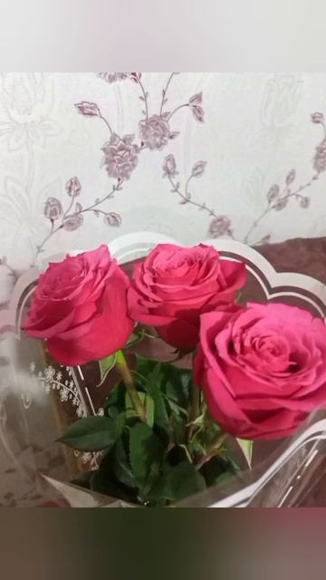 🥰 😍💃 Со Всемирным женским днём 8 Марта! 🌹🌷