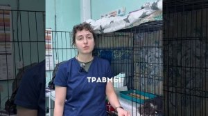 У Лома черепно-мозговая травма