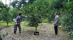 49.Мать-одиночка начинает новую жизнь в заброшенном доме