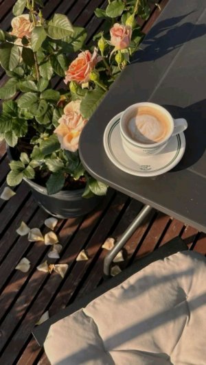 трансляция
Верусика