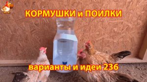 Кормушки и поилки для кур своими руками 236 🪚✂️ Пошаговая инструкция как сделать 🐔 🐓❣️