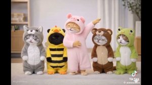 Я поздравляю с днём рождения ! .mp4