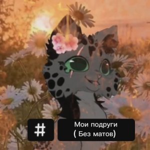 Мои подруги (без матов) Подруги Темной Ночи.