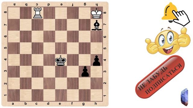 Шахматы. Задача №41, белые делают ничью.