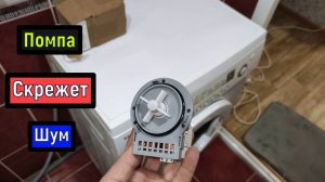Скрежет Шум  Не сливает воду  ПОМПА СТИРАЛЬНОЙ МАШИНЫ ( сливной насос )