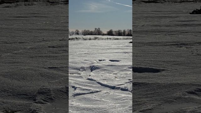 7 марта дети туттари 4 и 6 клик