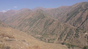 2023 на прогулке по окрестностям Янгиабада.