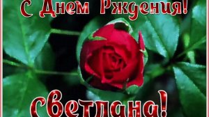 С днем рождения Светлана!
