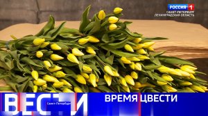 Вести Санкт-Петербург. Выпуск 08.00 от 07.03.2026