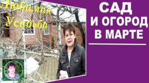 Работы в саду и на огороде в марте. Экстренные и плановые работы на даче ранней весной.
