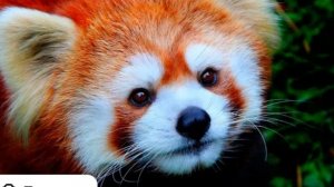 привет и я снова с вами!