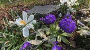 С Праздником!