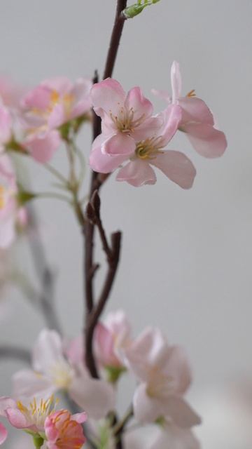 С 8 Марта, дорогие женщины!