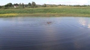 vatravel.ru Савкина гора (п.Пушкинские горы, Псковская обл)