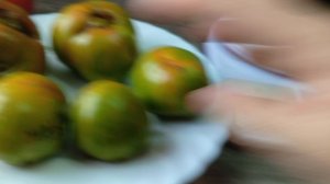 Томат Лето любви