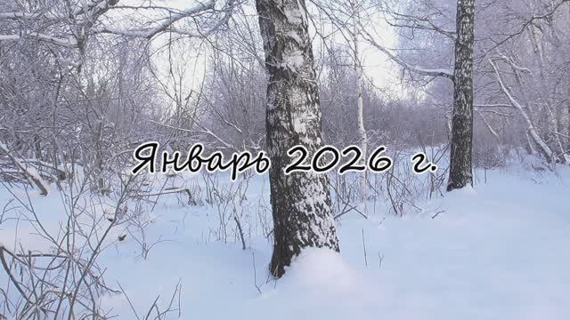 Дача. Январь 2026 г. Тюменская область. г. Тюмень