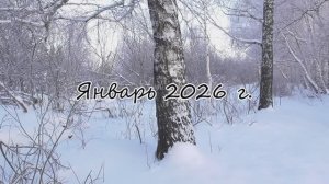 Дача. Январь 2026 г. Тюменская область. г. Тюмень
