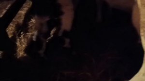 Такой вот подарок на  8 Марта/ Новосибирск в хозяйстве.