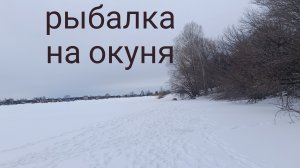 рыбалка на окуня