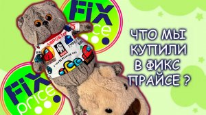 🛍️ ШОК-ЦЕНЫ! Басик в Фикс Прайс: Что мы нашли? Итоговая сумма! 😱Лайфстайл влог с Басиком