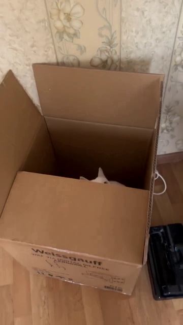 Милку поймала каропка