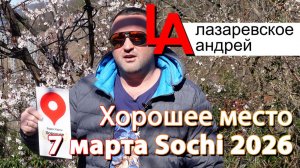 Чемитоквадже Сочи хорошее место на Яндекс картах 2026