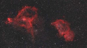 «Роскосмос» опубликовал фото «космических цветов» к 8 Марта