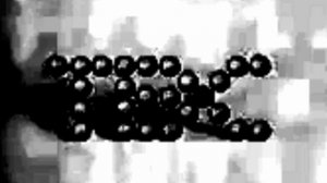 you won't shut us up