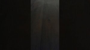 Я стал мелким и я выжываю