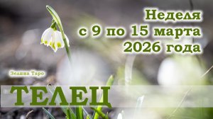 ТЕЛЕЦ | ТАРО прогноз на неделю с 9 по 15 марта 2026 года