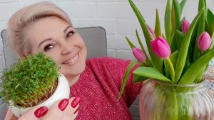 С ВЕСНОЙ НАС, ДЕВЧАТА!