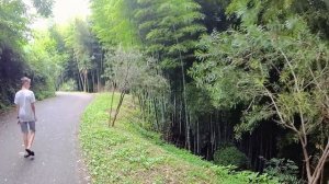 Грузия 2023 #4