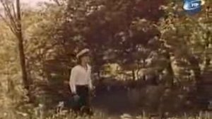 ВИА Смеричка.1982.Гай, зелёный гай.