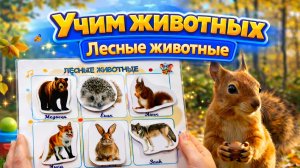 Лесные животные для детей 🦊 Учим животных | Развивающее видео для малышей