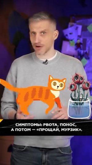 Стоп-лист цветов для обладательницы хвостатого