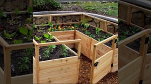 Грядка с защитой от птиц