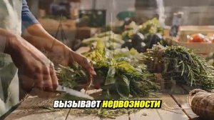 Четырнадцать прибыльных растении которые сделают вас миллионером которые никто не выращивает