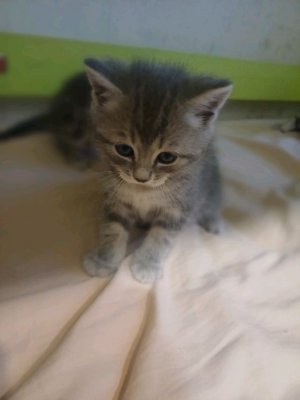 У моей сестры скоро День рождения:))